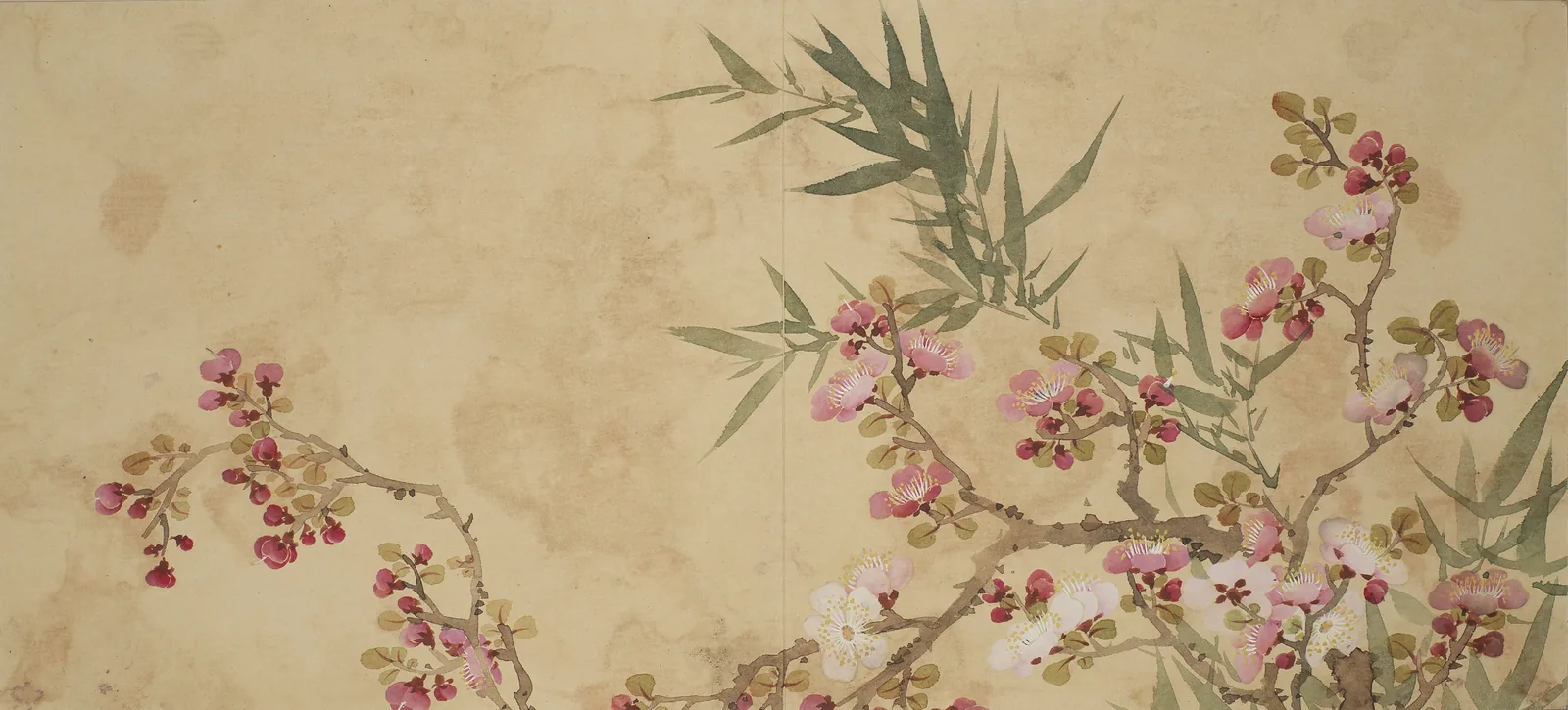 Artwork: Flower Border Long 2